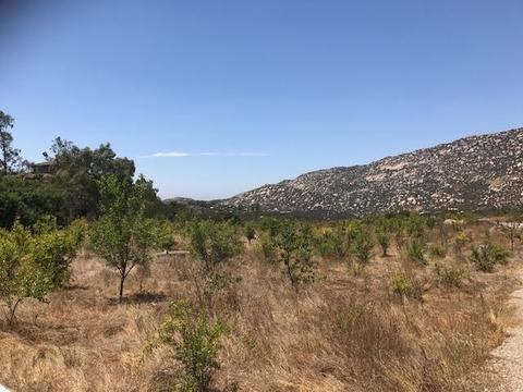 8666 Via Mallorca #F