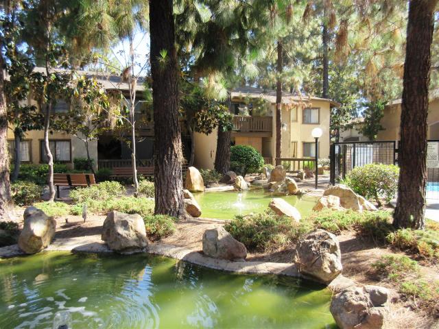 10202 Black Mountain Rd #7