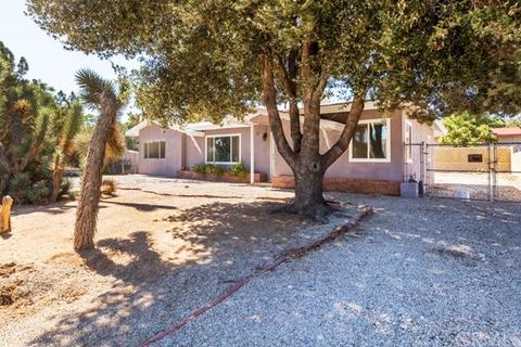 7495 Borrego
