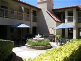 41255 Dogwood St