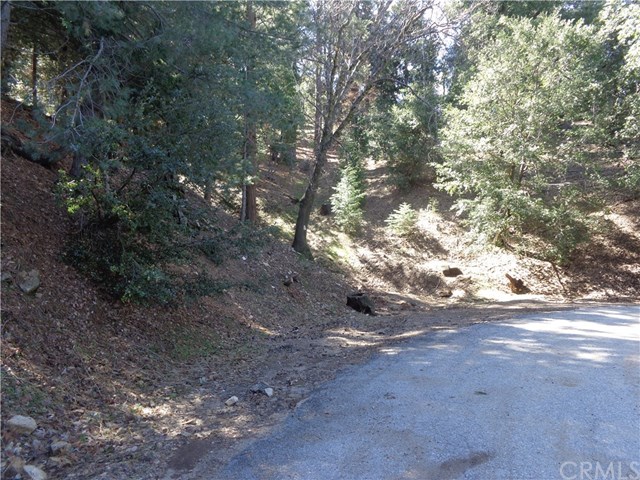 23810 Scenic Dr