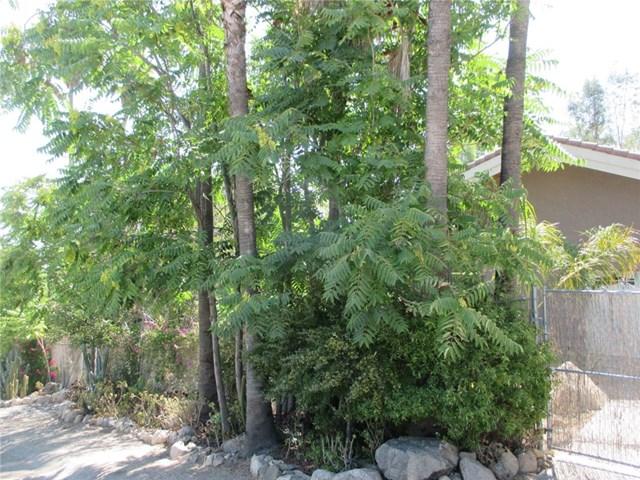 32921 Oleander Dr