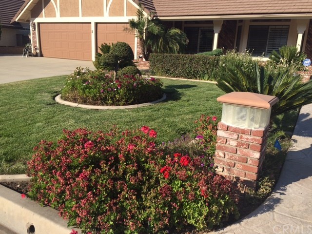 11195 Saddle Ridge Rd