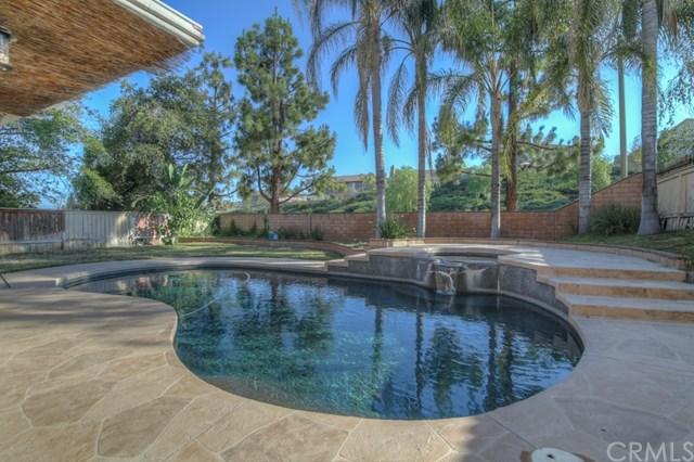 23788 Scarlet Oak Dr
