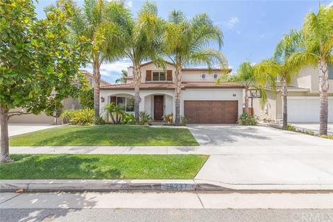 23788 Scarlet Oak Dr