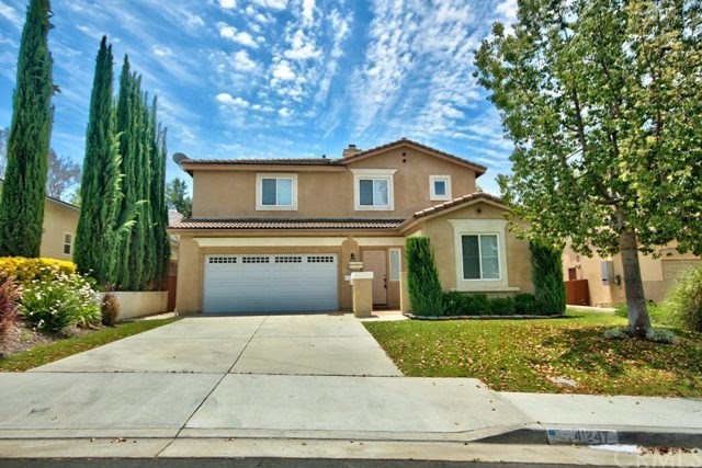 41121 Crooked Stick