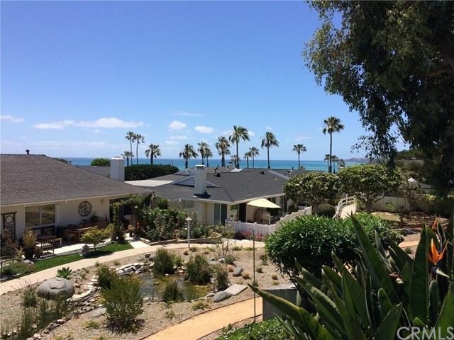 35242 Camino Capistrano #10