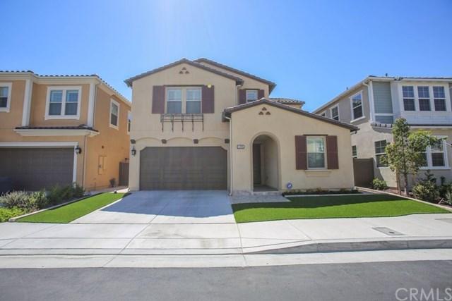 11100 Blue Allium Ave