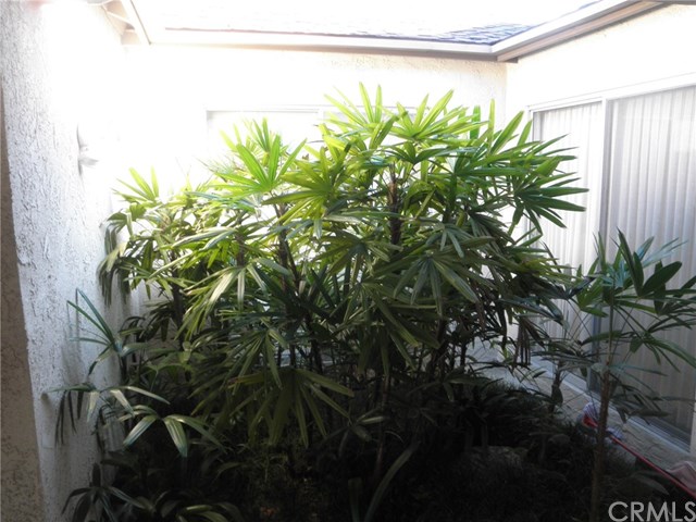 141 Aliso Rdg