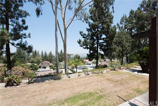 8236 E Alpine Ct