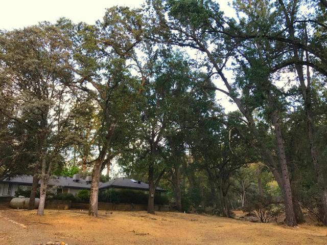 36774 Venado Dr