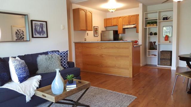 Half Moon Ln #207