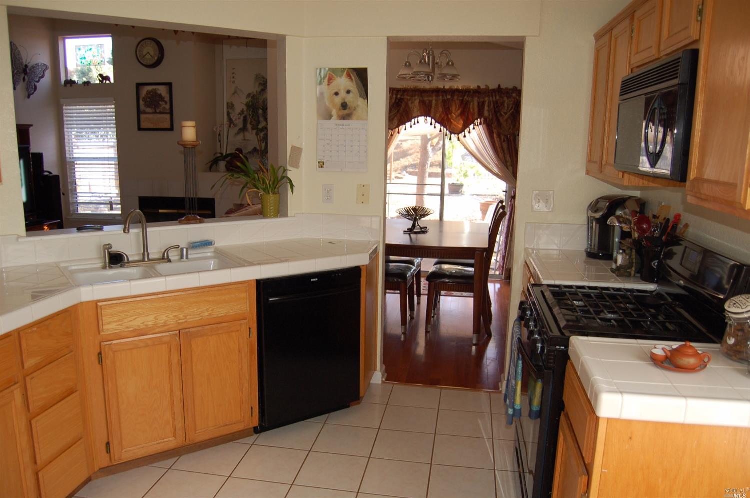 245 Gisela Dr