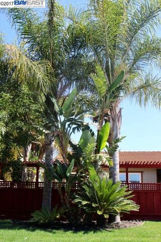 4315 Bidwell Dr