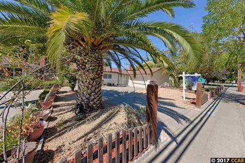 3989 Portola Common #4