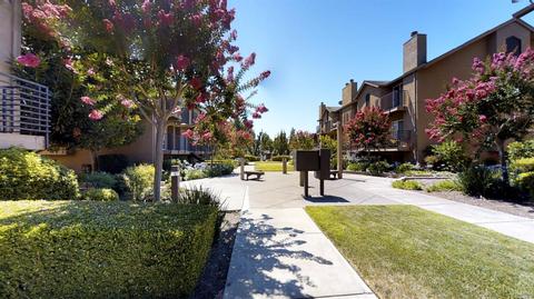 3187 Solano Ave