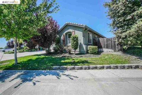 229 Merganser Dr