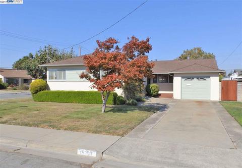 662 Tierney Way