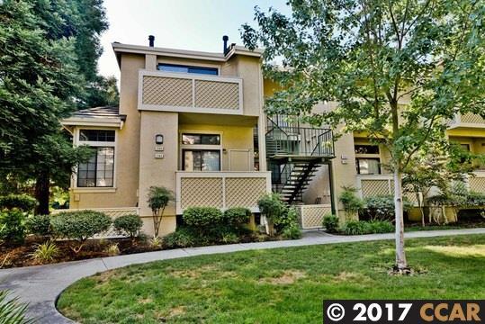 3803 Saratoga Way