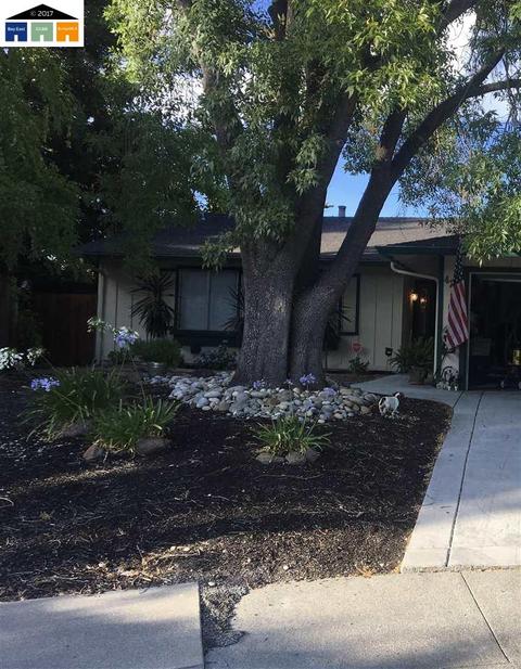 428 Gregg Pl