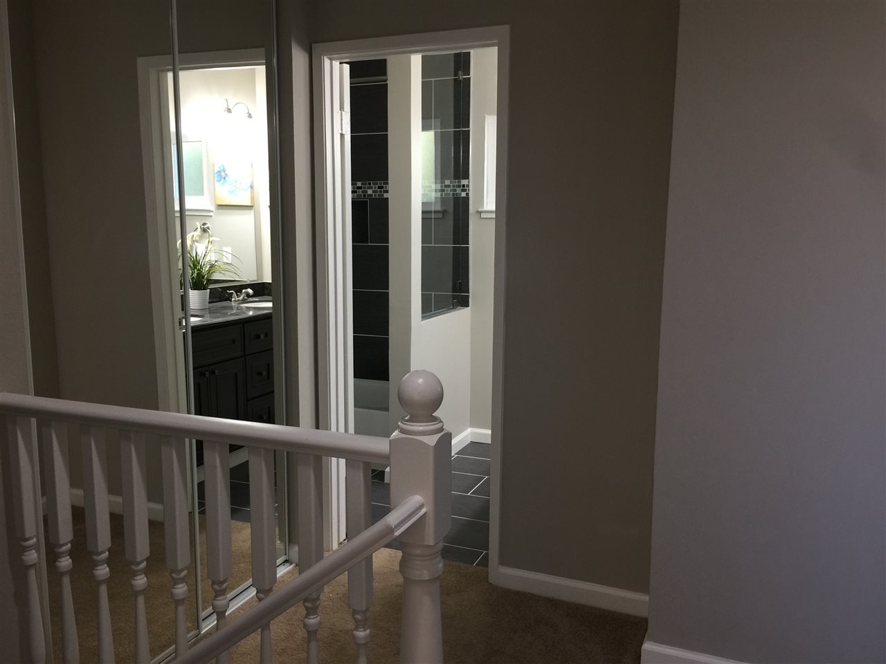 3769 Rocky Mountain Ct