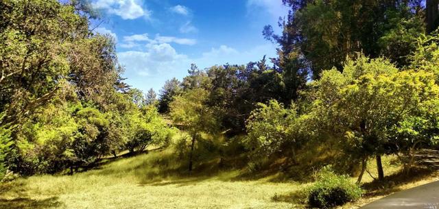 115 Woodland Rd
