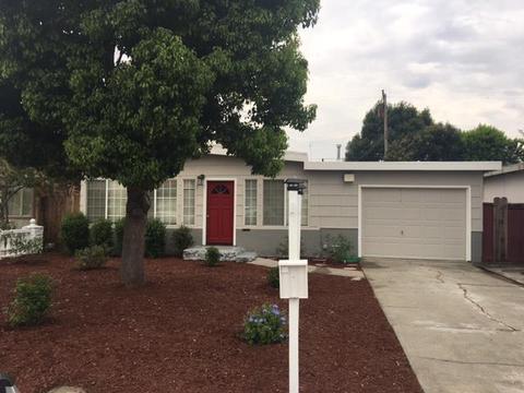 707 Hibiscus Pl