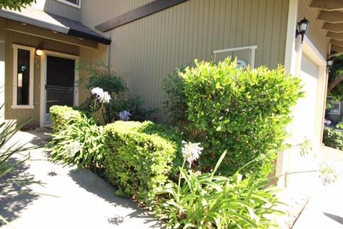 37 Alisa Cir