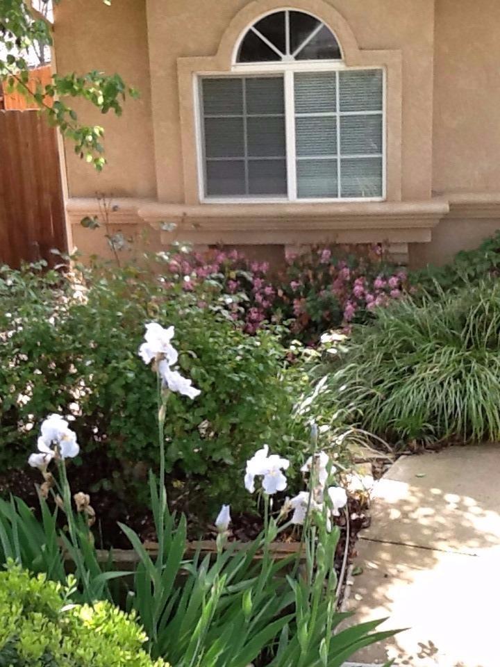 17 Parakeet Ct