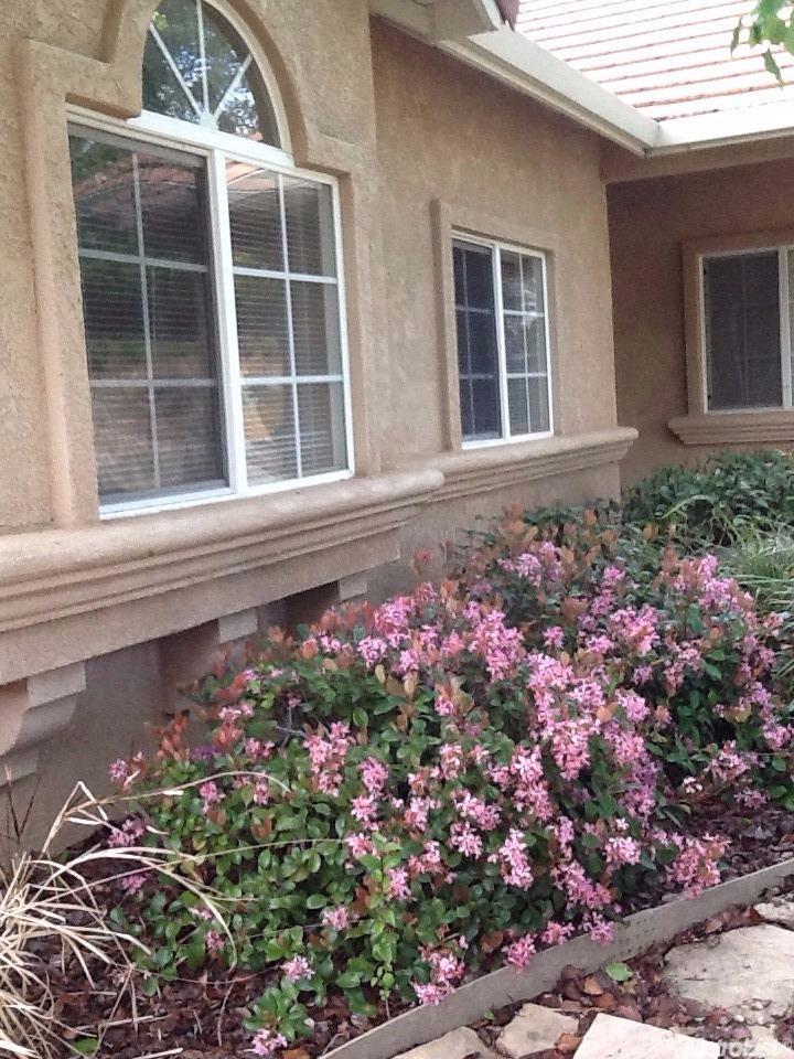 17 Parakeet Ct
