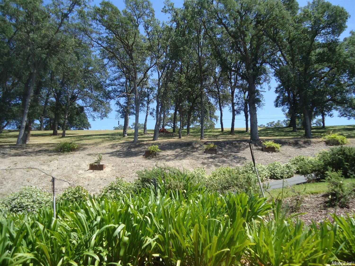 For Sale: 2466 Barbour Rd Valley Springs, CA 95252