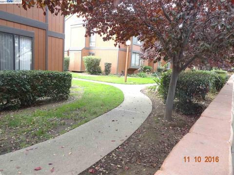 3387 Smoketree Commons Dr