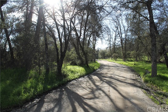 5646 Pilot Peak Rd