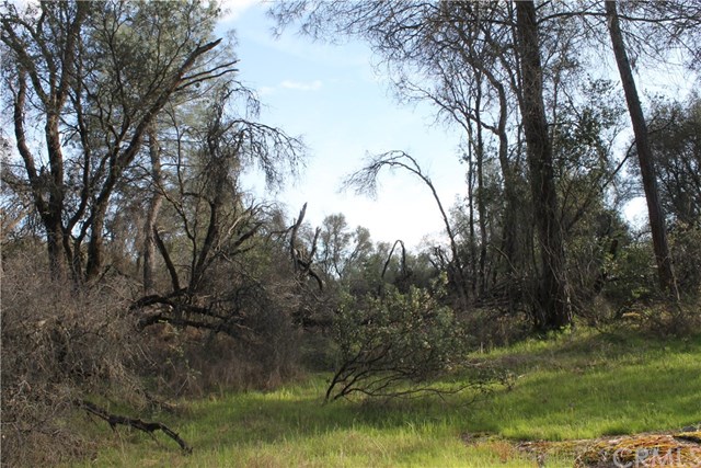5646 Pilot Peak Rd