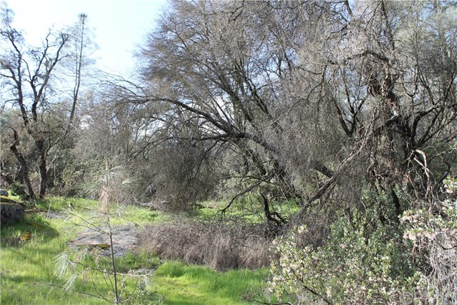 5646 Pilot Peak Rd