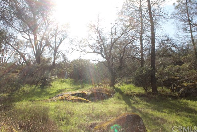 5646 Pilot Peak Rd