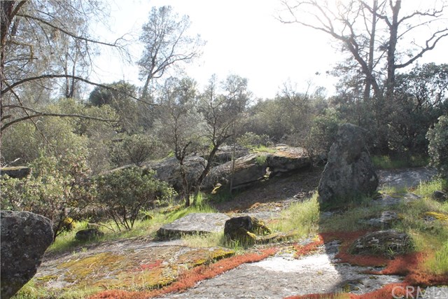 5646 Pilot Peak Rd