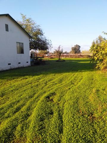 808 Canelli Cir