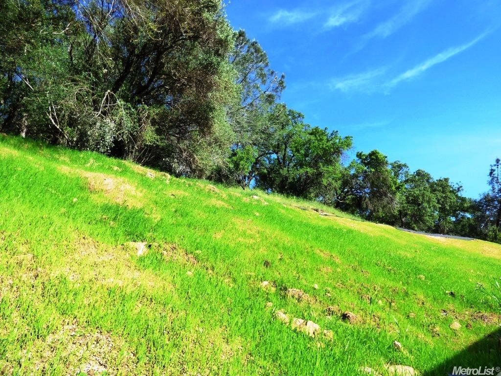 1671 Goulart Ranch Rd