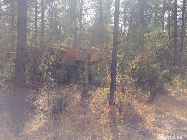 1320 Burnt Shanty Creek Rd