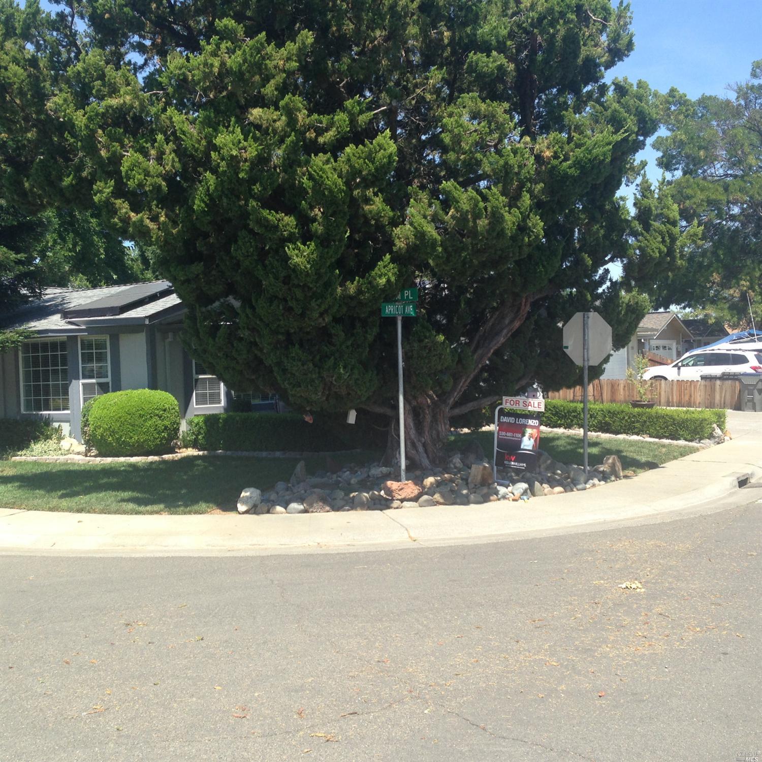 For Sale: 716 Apricot Ln Winters, CA 95694