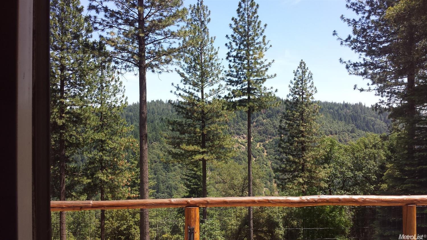 For Sale: 29210 Bear Paw Ln Colfax, CA 95713