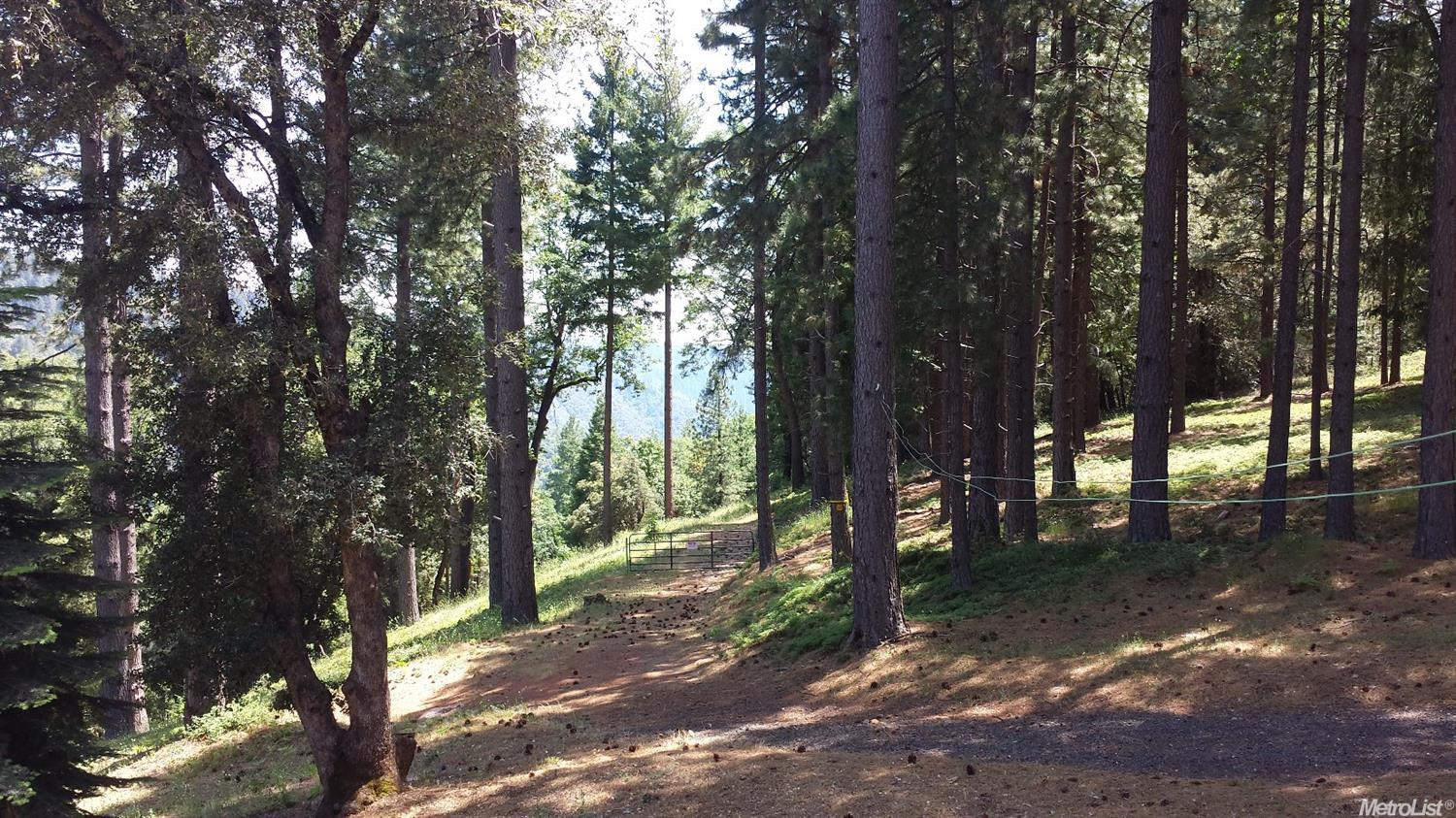 For Sale: 29210 Bear Paw Ln Colfax, CA 95713