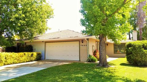 1215 Alder Tree Way