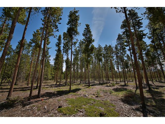 For Sale: 95 County Road 7312 Fraser, CO 80442