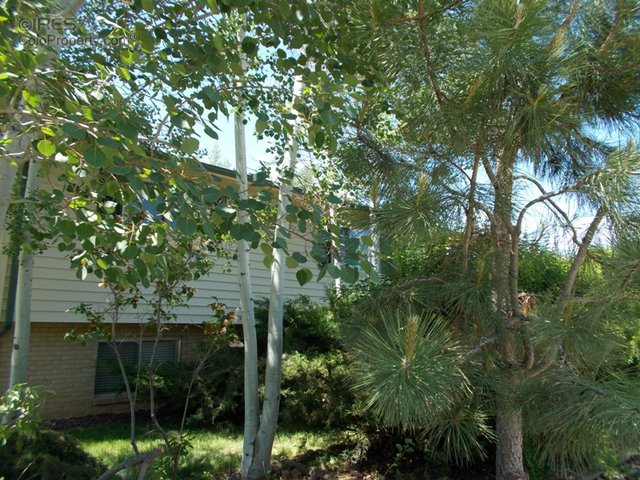 For Sale: 1573 Northwestern Rd Longmont, CO 80503