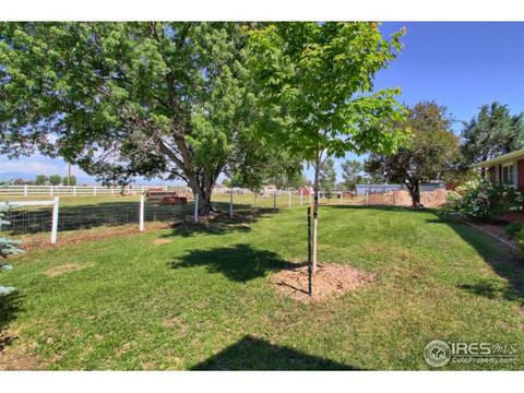 1379 Charles Dr #4