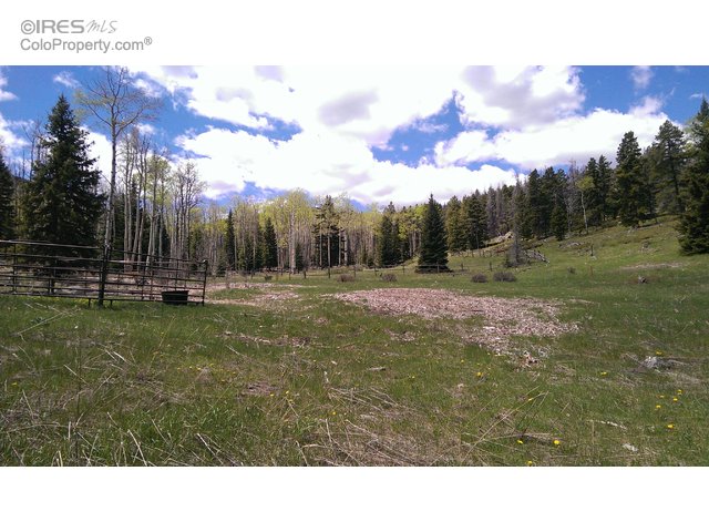 For Sale: 1055 Granite Rd Bellvue, CO 80512