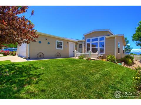 7705 Hummingbird Grn # 80