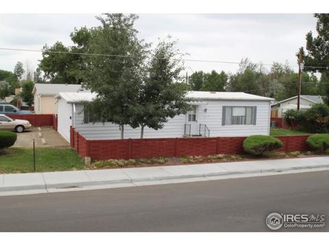 7705 Hummingbird Grn # 80